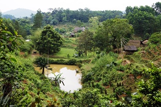 Smallholder farming in Ha Tinh Province